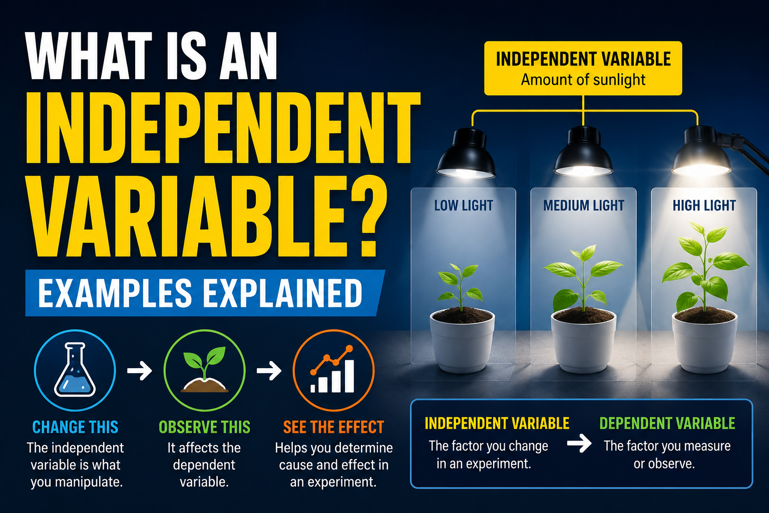 Independent Variable